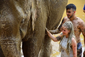 Phuket: Elephant Save & Care Program Tour