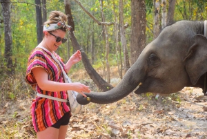Phuket: Elephant Save & Care Program Tour