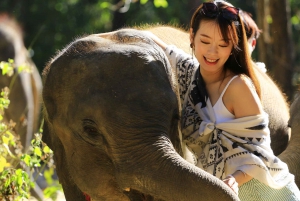 Phuket: Elephant Save & Care Program Tour
