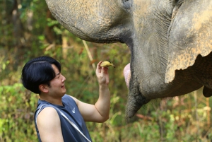 Phuket: Elephant Save & Care Program Tour
