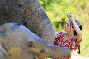 Phuket: Elephant Save & Care Program Tour