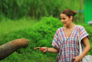 Phuket: Elephant Save & Care Program Tour