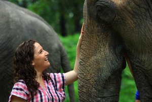 Phuket: Elephant Save & Care Program Tour