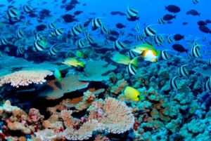 Phuket: Khai Nok, Khai Nai, and Khai Nui Island Day Trip