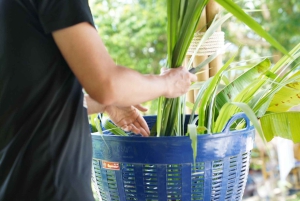 Phuket: Patong Highlights Elephant Sanctuary Tour