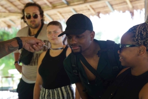 Phuket: Patong Highlights Elephant Sanctuary Tour