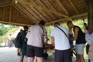 Phuket: Patong Highlights Elephant Sanctuary Tour