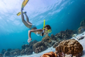 Phuket: Phi Phi Island Hopping dagsutflykt med snabb båt