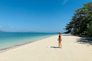 Phuket: Phi Phi Island Hopping dagsutflykt med snabb båt