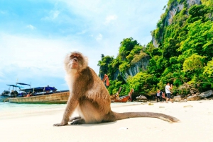 Phuket: Phi Phi Islands and Maya Bay Day Trip with Lunch