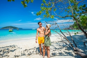 Phuket: Similan Island Full-Day Trip by Speedboat with Meals