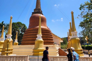 Phuket: Old Town Street Art Walk & Tile Painting Workshop