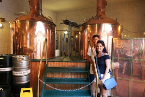 3-godzinna wycieczka z przewodnikiem po małych grupach