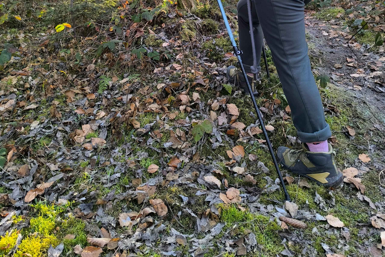 Desde Praga: excursión a pie por las bellezas de Kokořín