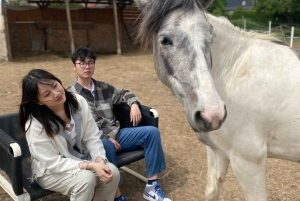 Ausritt zu Pferd in der Nähe von Prag