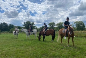 Ausritt zu Pferd in der Nähe von Prag