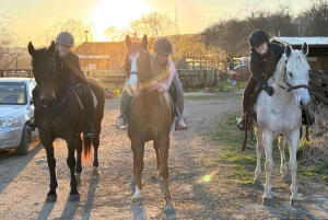 Ausritt zu Pferd in der Nähe von Prag