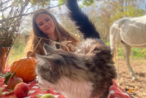 Ausritt zu Pferd in der Nähe von Prag