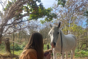 Ausritt zu Pferd in der Nähe von Prag