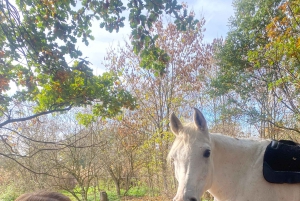 Ausritt zu Pferd in der Nähe von Prag