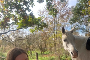 Ausritt zu Pferd in der Nähe von Prag