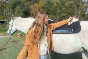 Ausritt zu Pferd in der Nähe von Prag