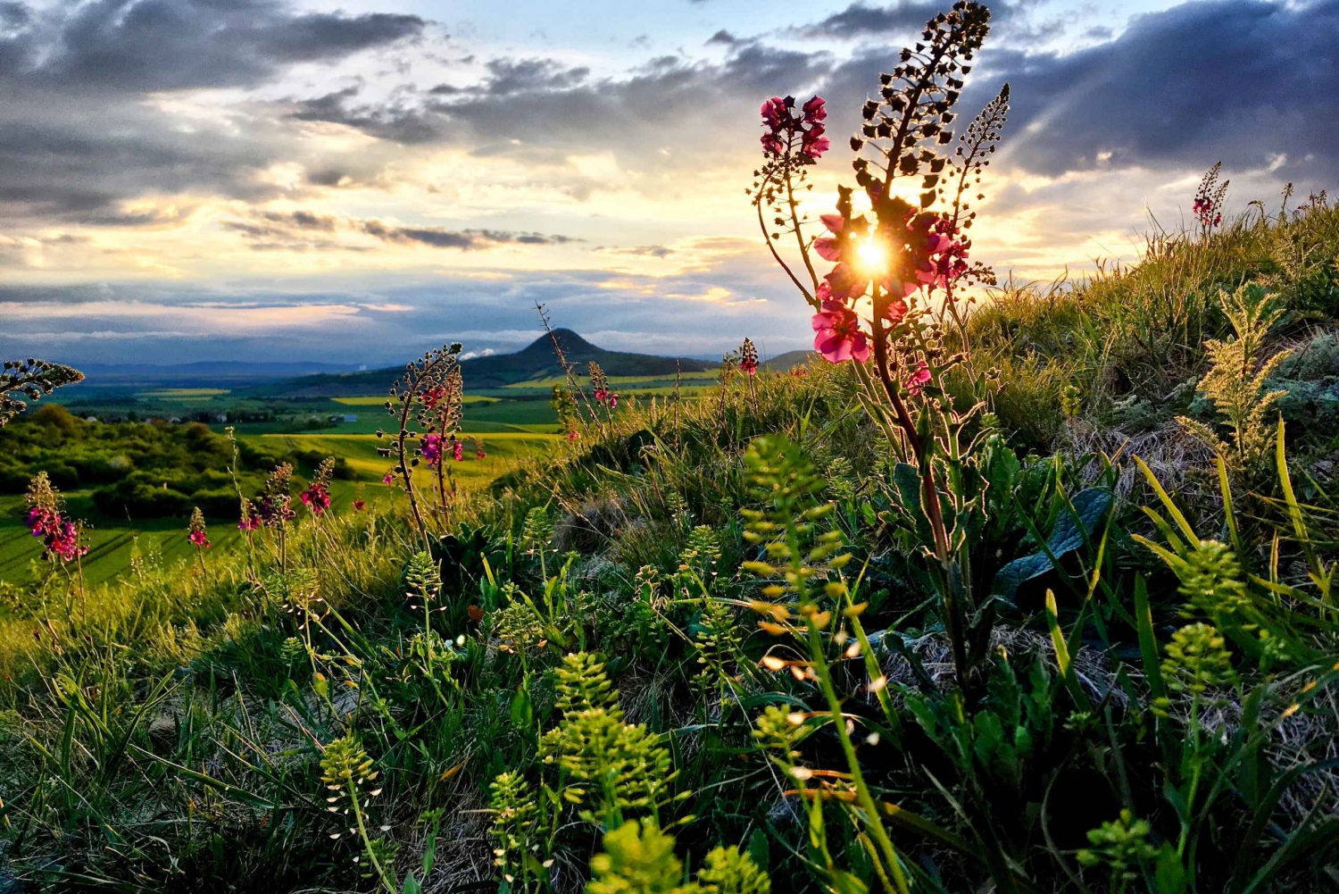 Böhmiske høyland: Granatvasking, gård og lokal lunsj og øl