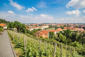 Prague Castle 2.5-Hour Tour Including Admission Ticket