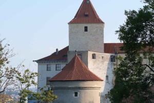 Prague Castle 2.5-Hour Tour Including Admission Ticket