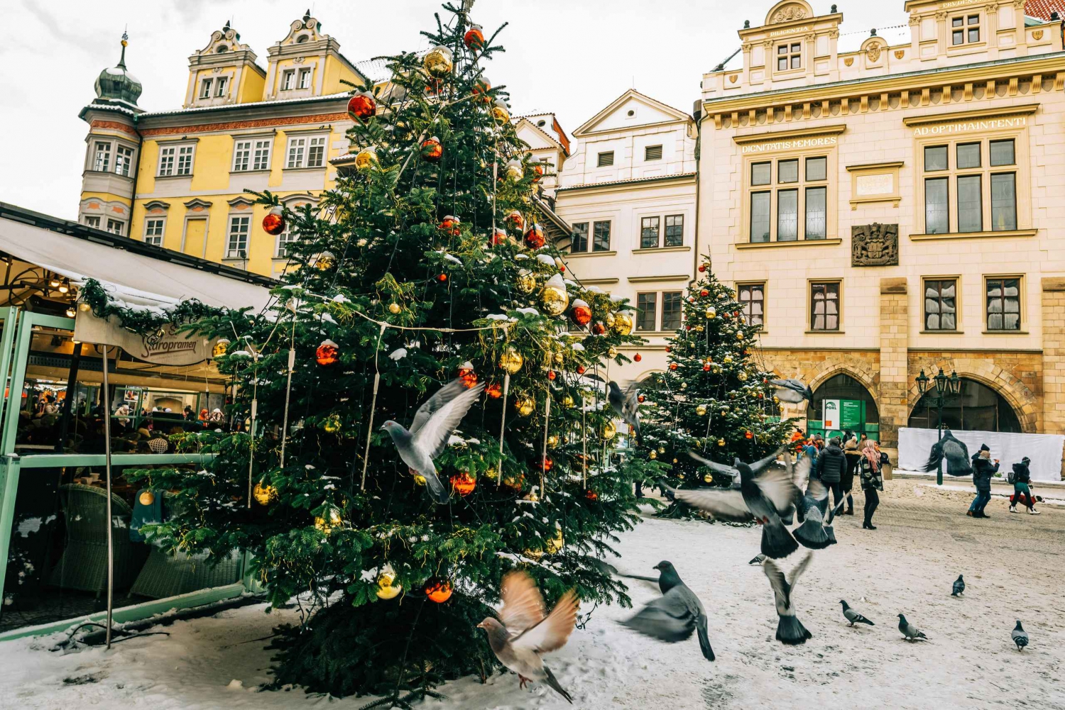 Praag: Rondleiding over de kerstmarkten met lokale gids