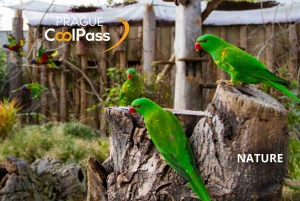 Prague: CoolPass with Access to 70+ Attractions