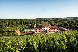 Prague: Official City Pass with Public Transport