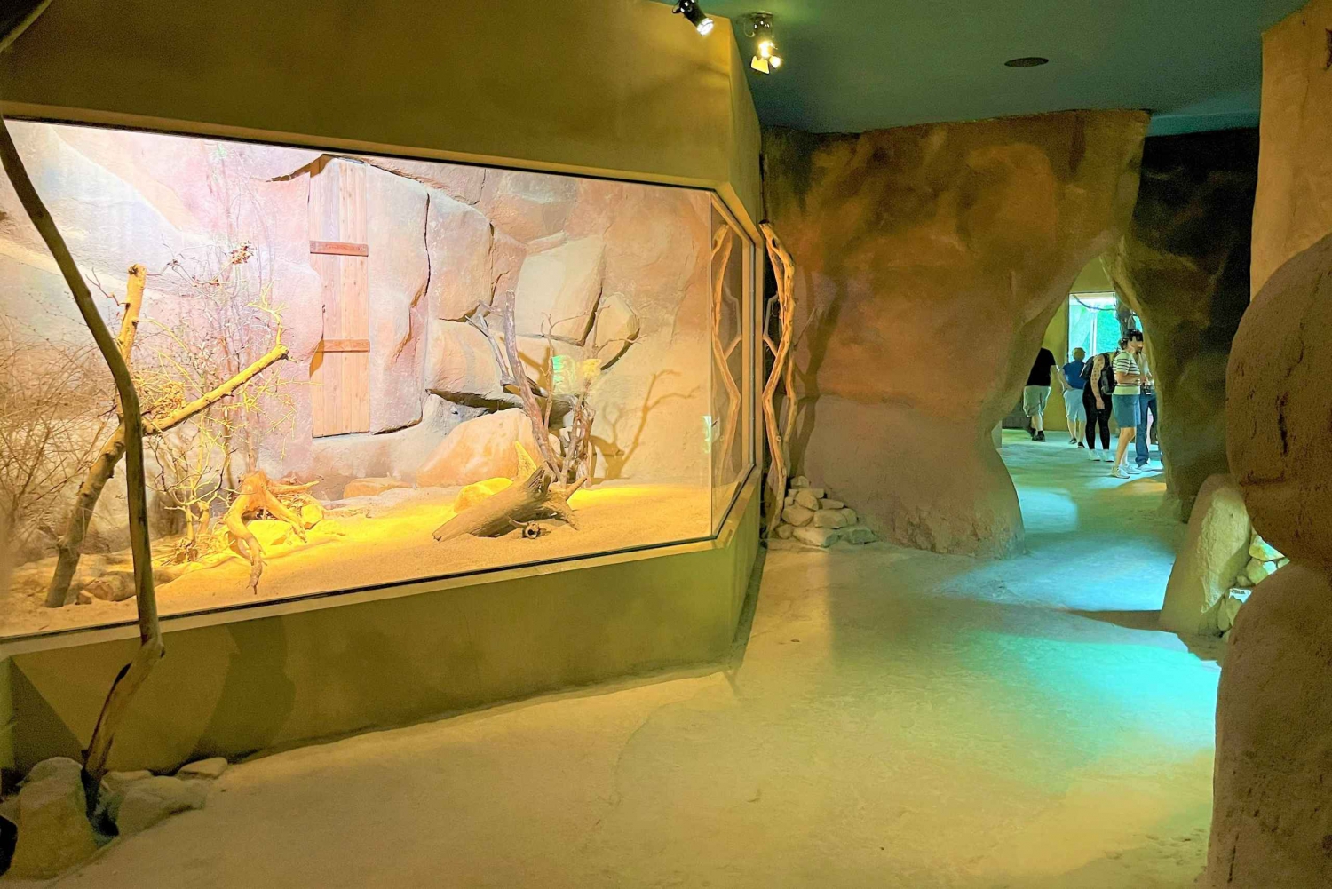 Prague : L'audioguide du zoo de Prague avec billet électronique