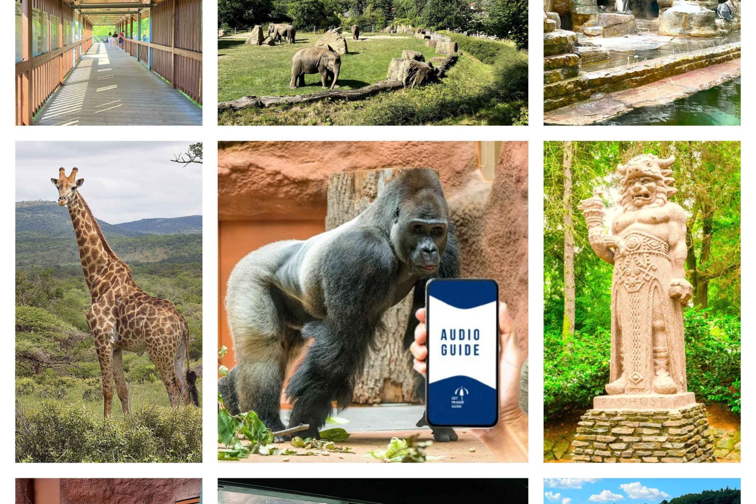 Guide audio en ligne du zoo de Prague (sans billet)