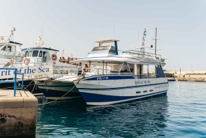 Fra Puerto Rico de Gran Canaria: Cruise med delfinsafari