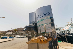 Fra Puerto Rico de Gran Canaria: Cruise med delfinsafari