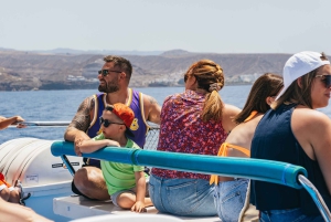 Fra Puerto Rico de Gran Canaria: Cruise med delfinsafari