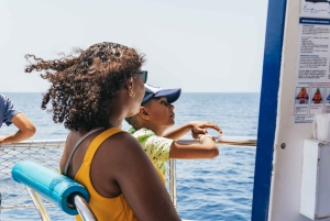 Fra Puerto Rico de Gran Canaria: Cruise med delfinsafari