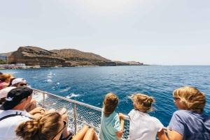 Fra Puerto Rico de Gran Canaria: Cruise med delfinsafari