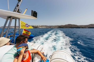 Fra Puerto Rico de Gran Canaria: Cruise med delfinsafari