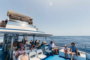 Fra Puerto Rico de Gran Canaria: Cruise med delfinsafari
