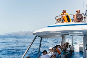 Fra Puerto Rico de Gran Canaria: Cruise med delfinsafari