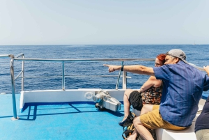 Fra Puerto Rico de Gran Canaria: Cruise med delfinsafari
