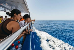 Fra Puerto Rico de Gran Canaria: Cruise med delfinsafari