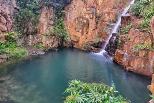 From San Juan: Nurture Body and Soul Tour