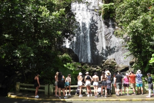 From San Juan: Rainforest Walk, Nature Swim & Luquillo Beach