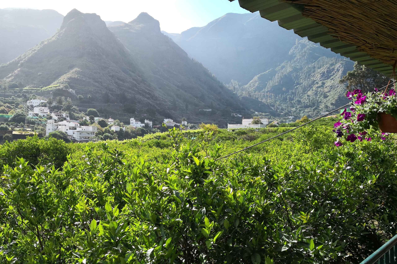 Grande Canarie : visite en bus de la Grande île avec transferts