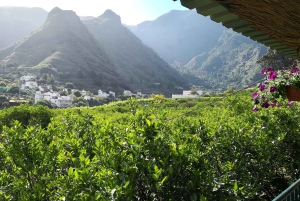 Gran Canaria: Grand Island Tour by Bus with Transfers