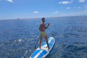 Puerto Rico, Gran Canaria: excursão de barco, bebida, comida, paddle surf, snorkel