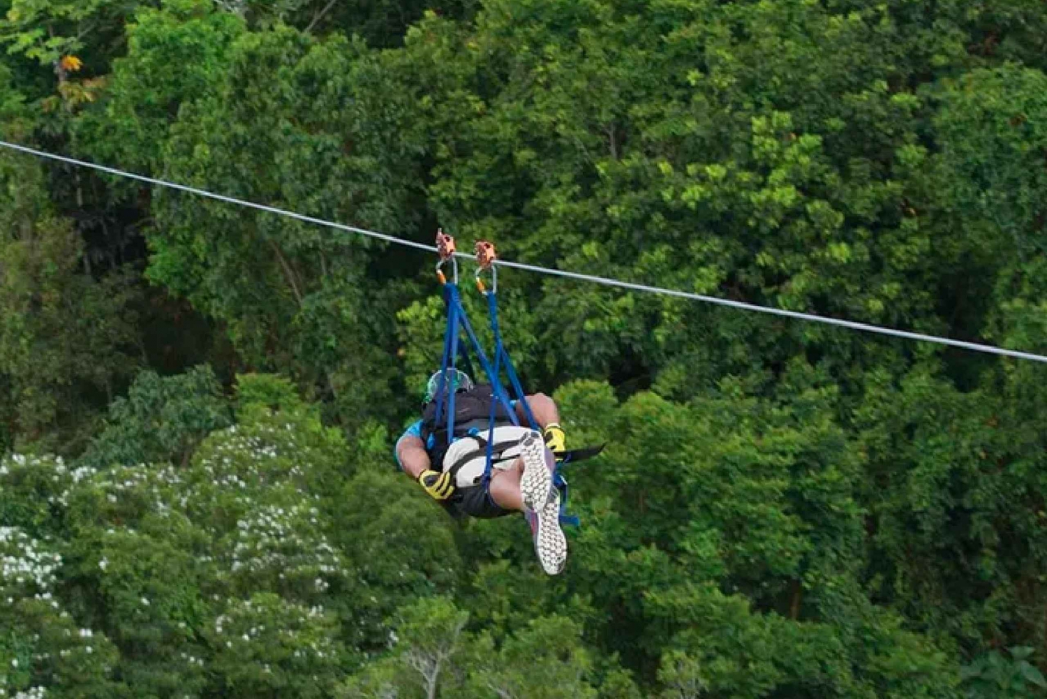 Toro Verde Adventure Park- The Monster Zipline